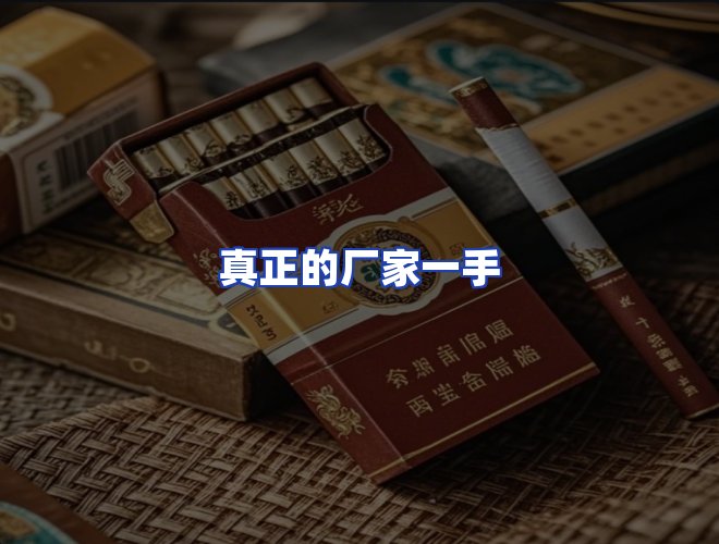 专业团队